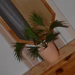 Apartment Lorettablick