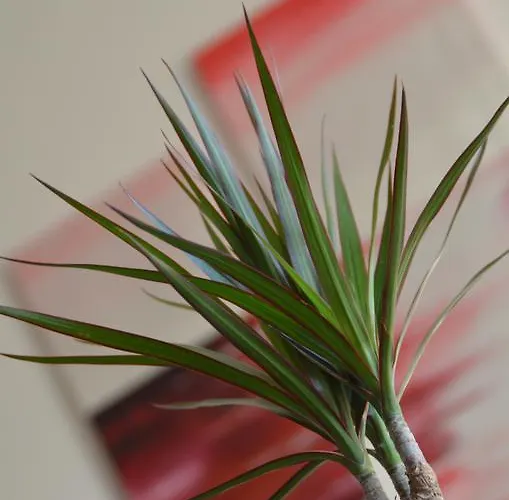 Apartament Lorettablick Sonnenberg-Winnenberg