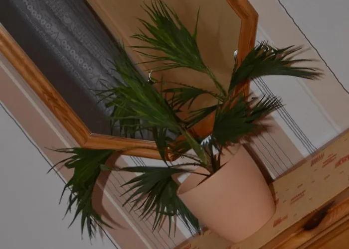 Apartament Lorettablick